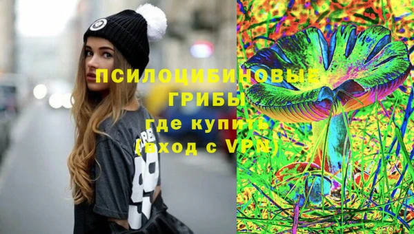 прущие крисы Алзамай