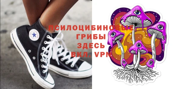 прущие крисы Алзамай