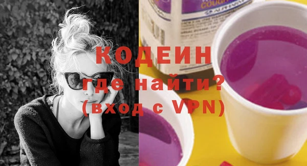 индика Заволжск